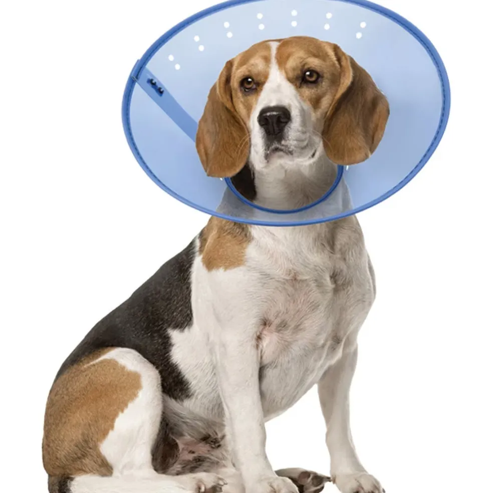 Calm Paws Calming E-Collar for Dogs