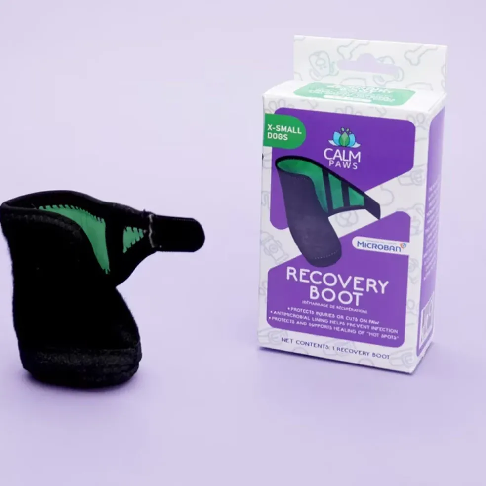 Calm Paws Recovery Dog Boot