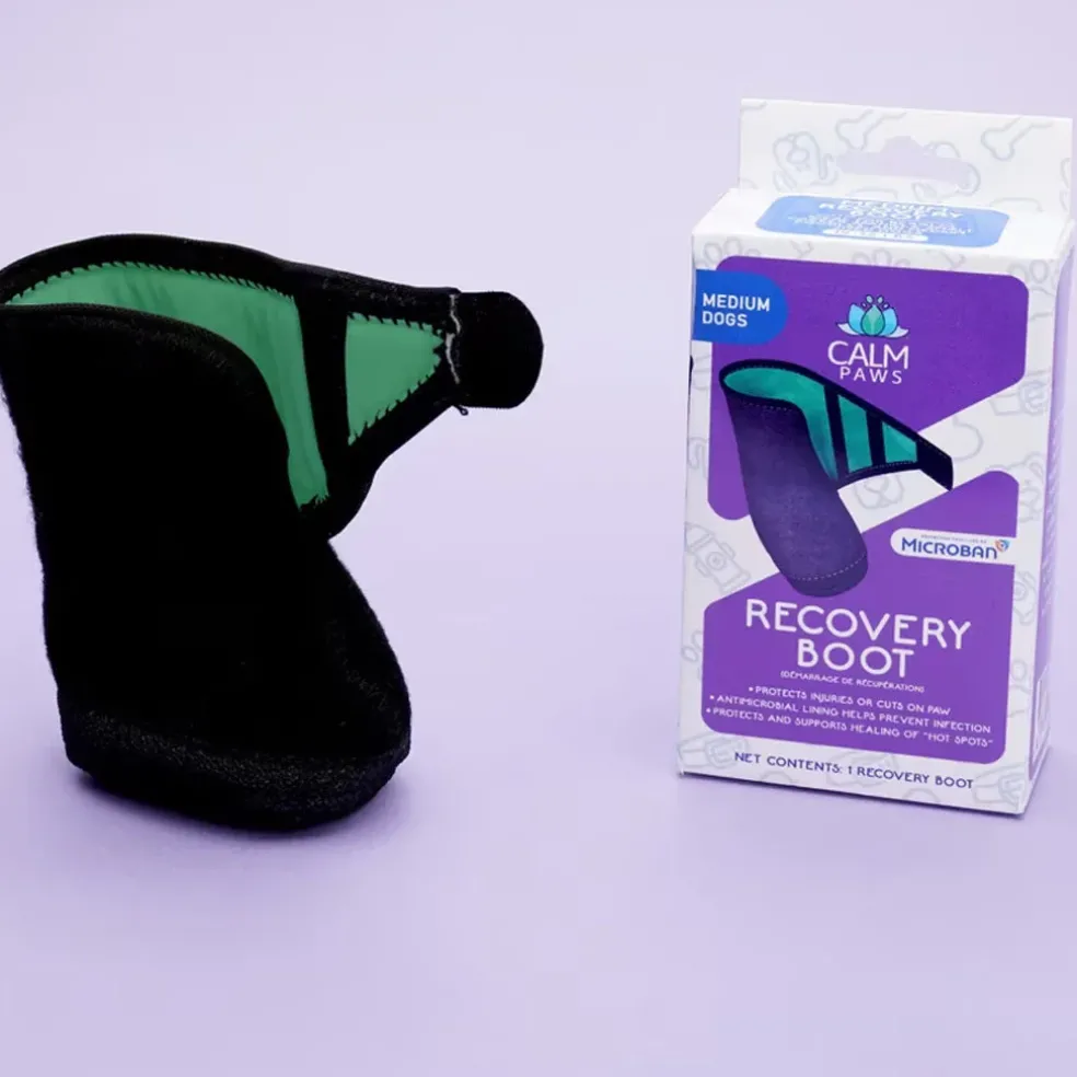Calm Paws Recovery Dog Boot