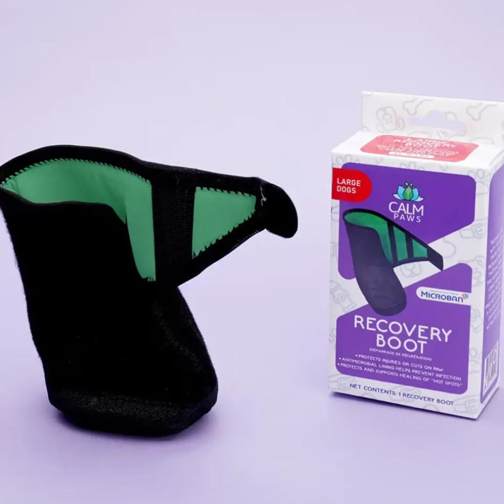 Calm Paws Recovery Dog Boot