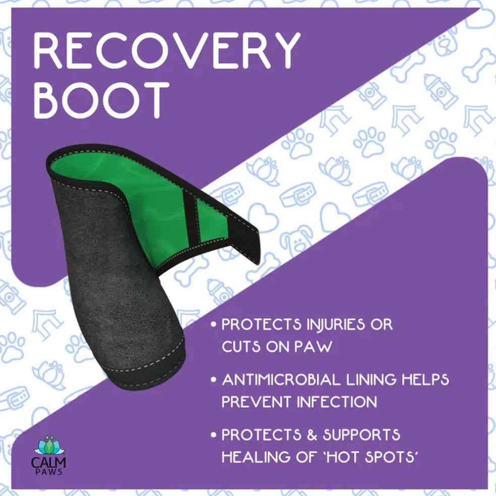 Calm Paws Recovery Dog Boot