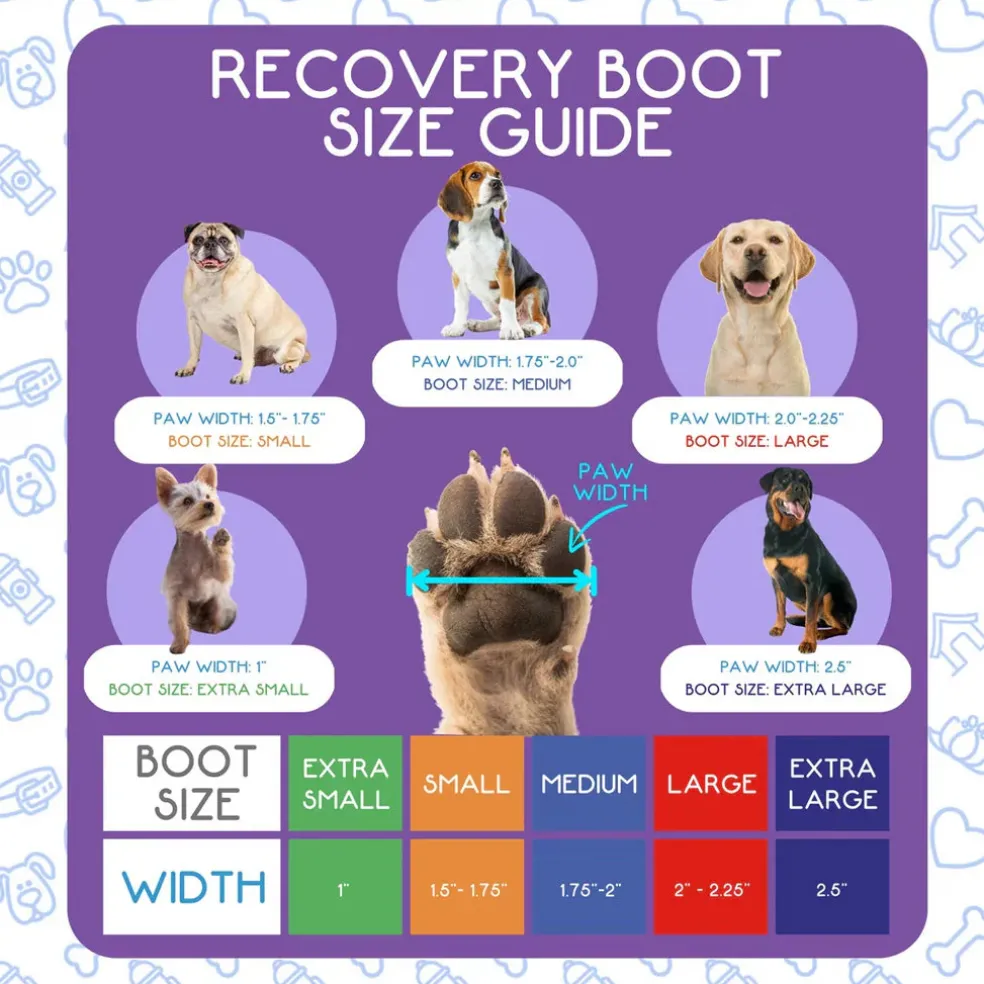 Calm Paws Recovery Dog Boot