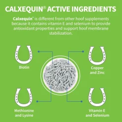Calxequin Daily Hoof Support Pellets For Horses (1260 grams)