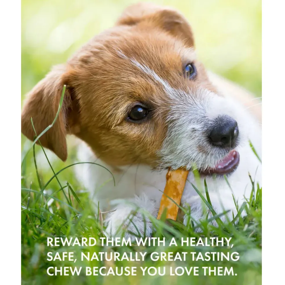Canine Naturals Hide Free Chicken Recipe Sticks Dog Treats