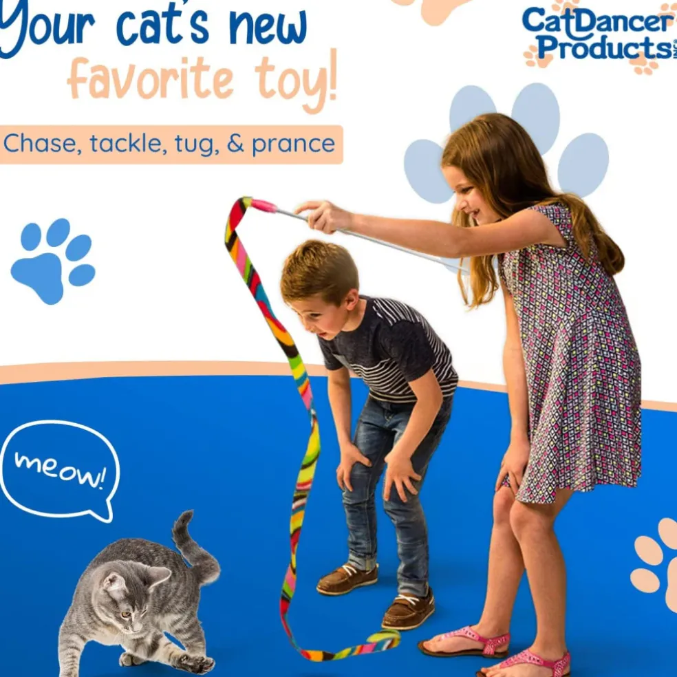 Cat Dancer Charmer Toy For Cats, Color Varies