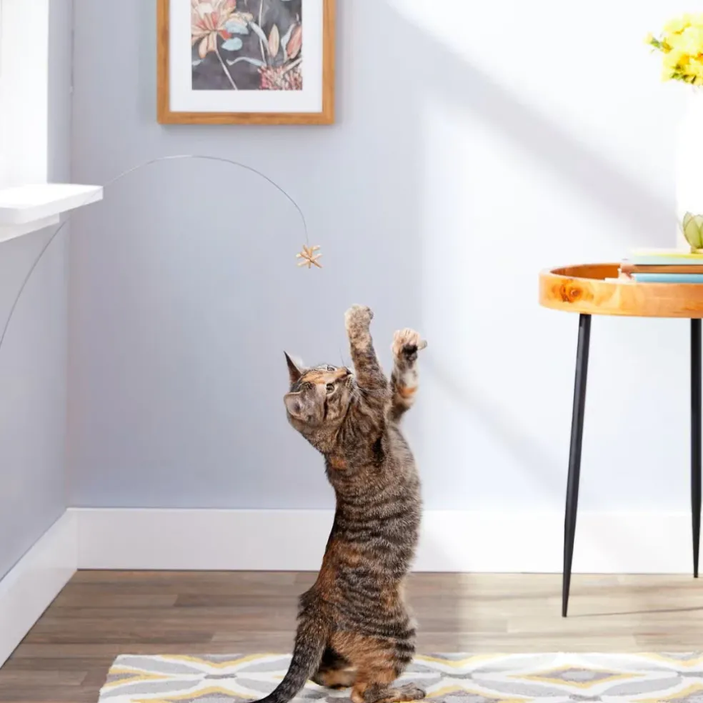 Cat Dancer Deluxe Interactive Toy for Cats