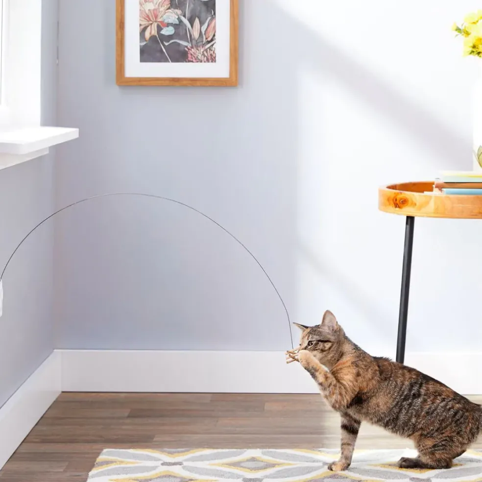 Cat Dancer Deluxe Interactive Toy for Cats