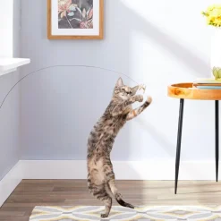 Cat Dancer Deluxe Interactive Toy for Cats