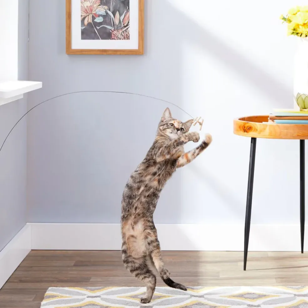 Cat Dancer Deluxe Interactive Toy for Cats