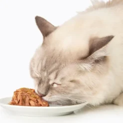 Catit Fish Dinner with Tuna & Carrots Wet Cat Food (2.8 oz)