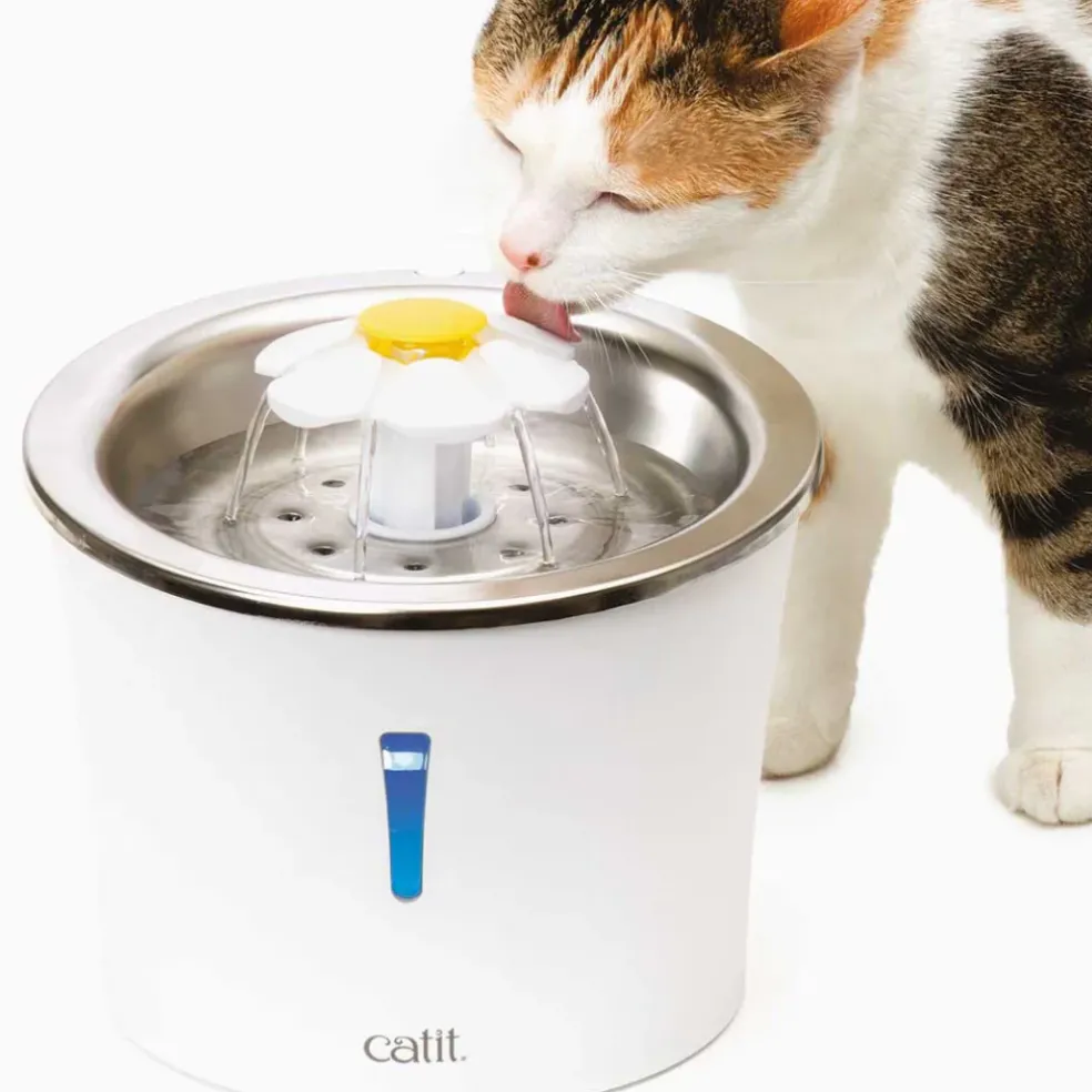 Catit LED Stainless Steel Top Flower Drinking Fountain for Cats