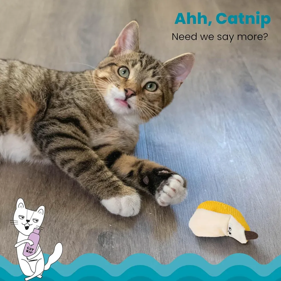 Catstages Banana Cat Dental Chew Toy with Catnip
