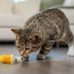 Catstages Banana Cat Dental Chew Toy with Catnip