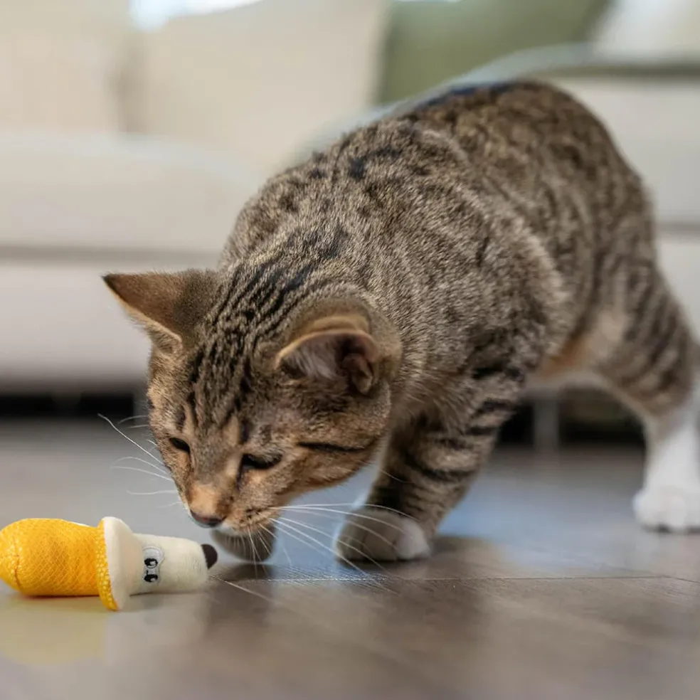 Catstages Banana Cat Dental Chew Toy with Catnip