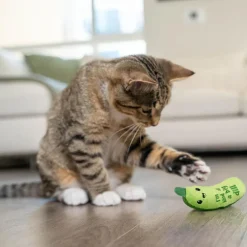 Catstages Crunchy Pickle Kicker Plush Cat Toy with Catnip