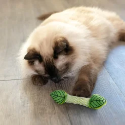 Catstages Fresh Breath Mint Stick Cat Dental Chew Toy