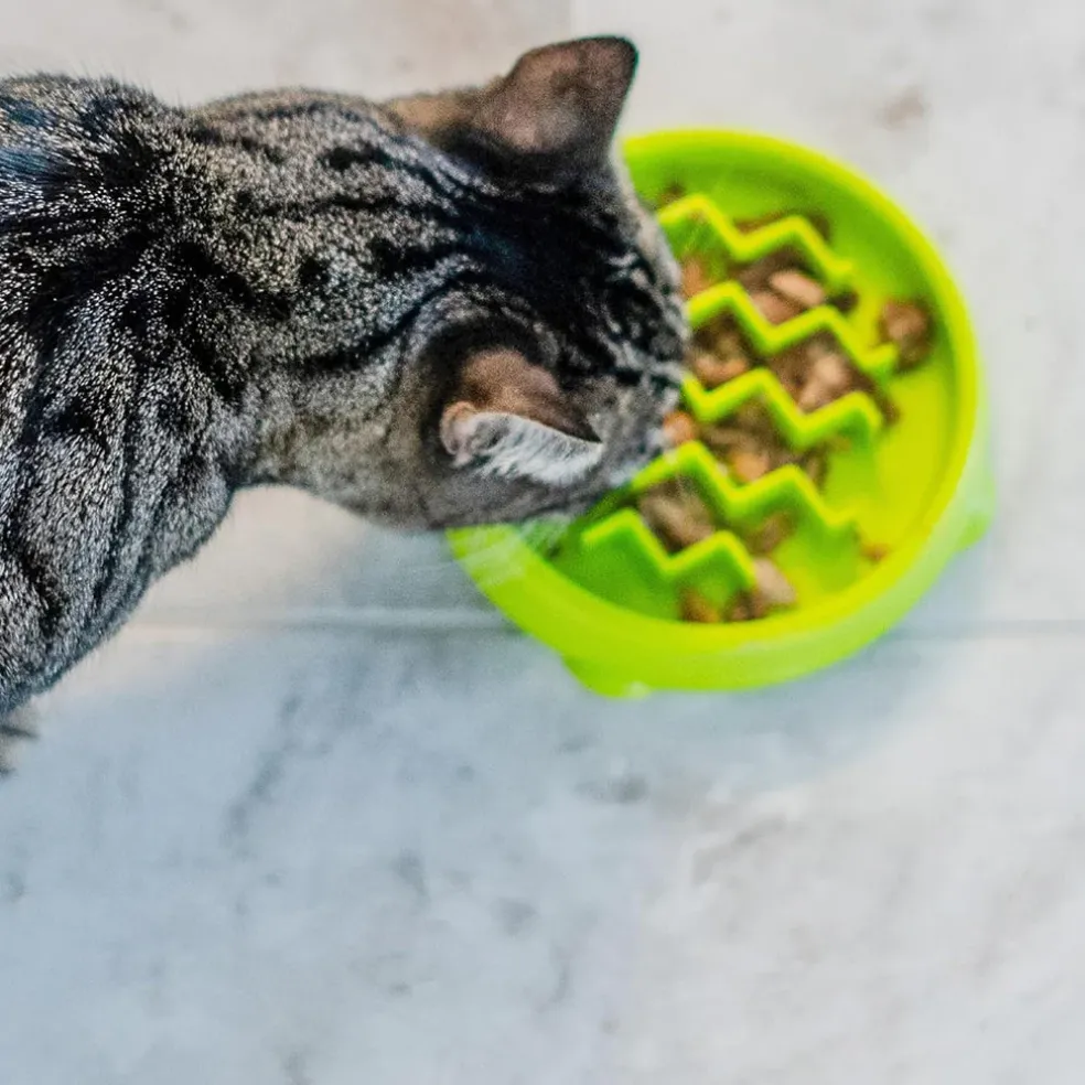 Catstages Kitty Slow Feeder, Green
