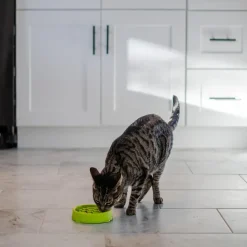 Catstages Kitty Slow Feeder, Green