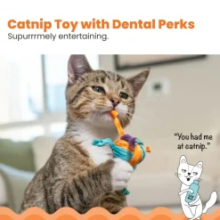 Catstages Tons of Tails Dental Toy For Cat with Catnip (Assorted Colors)