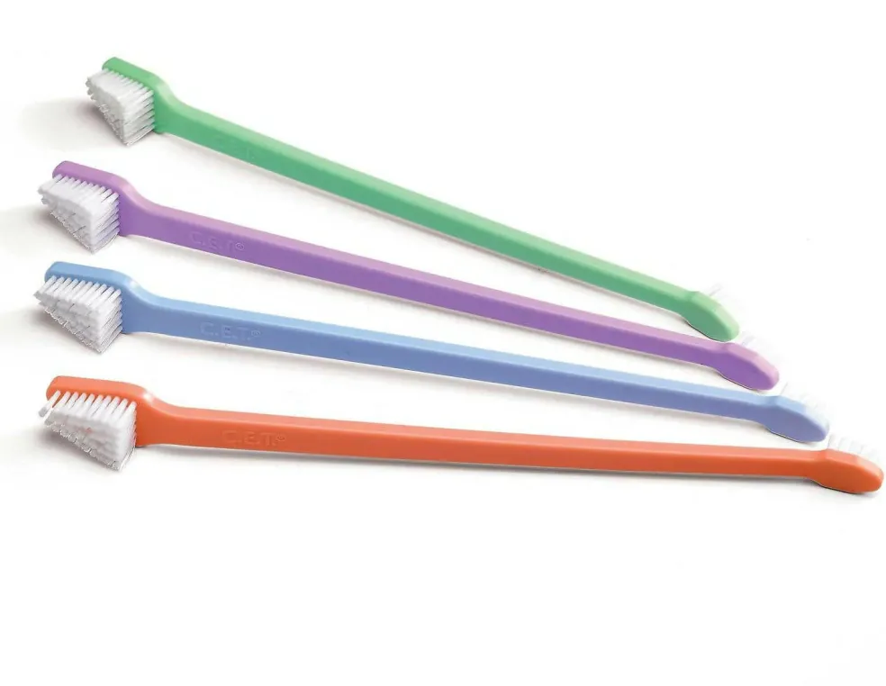 C.E.T. Dual-Ended Toothbrush (color varies)