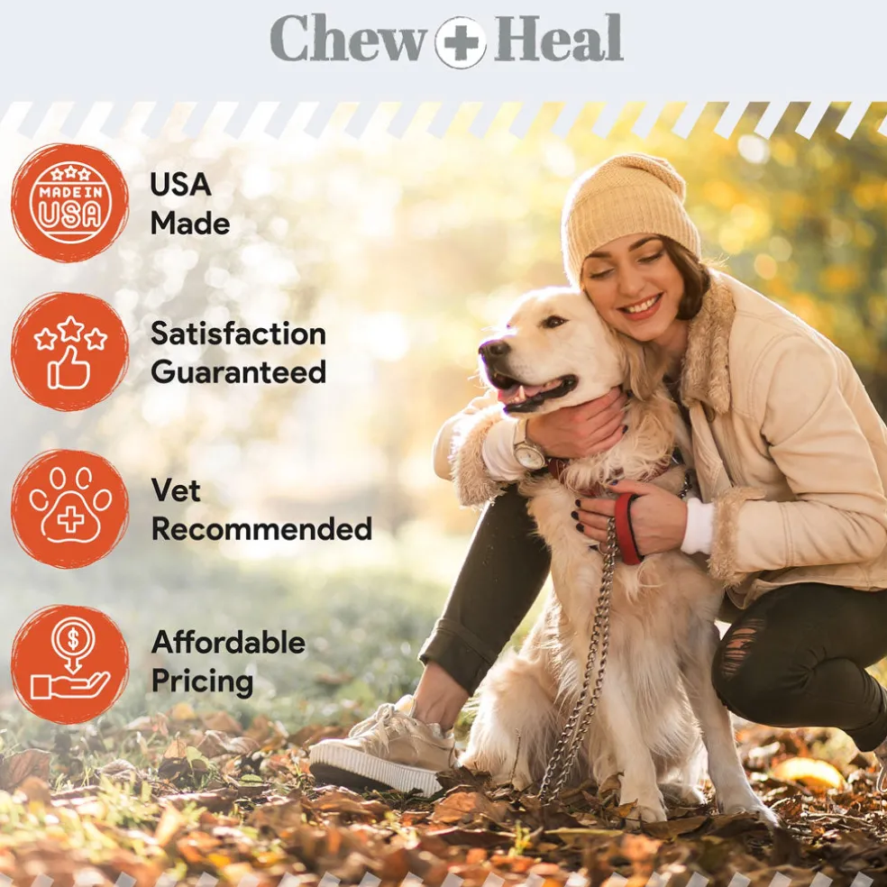 Chew + Heal Organic Pumpkin Digestive Defense Superfood Blend Powder Digestive Aid Supplement for Dogs