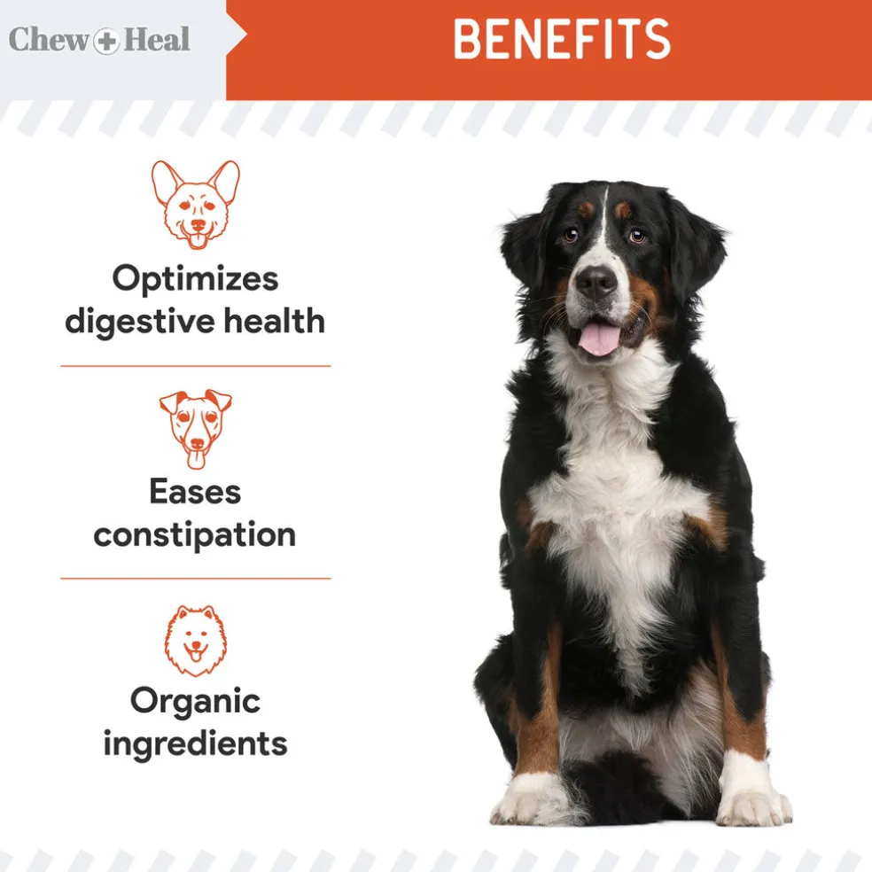 Chew + Heal Organic Pumpkin Digestive Defense Superfood Blend Powder Digestive Aid Supplement for Dogs