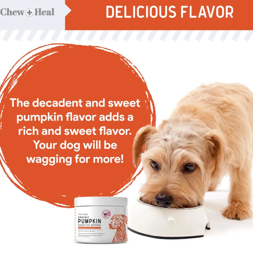 Chew + Heal Organic Pumpkin Digestive Defense Superfood Blend Powder Digestive Aid Supplement for Dogs