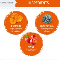 Chew + Heal Pumpkin & Prebiotic Fiber Crunchy Biscuit Dog Treats