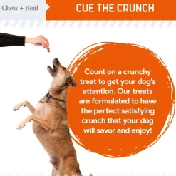 Chew + Heal Pumpkin & Prebiotic Fiber Crunchy Biscuit Dog Treats