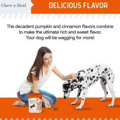 Chew + Heal Pumpkin & Prebiotic Fiber Crunchy Biscuit Dog Treats