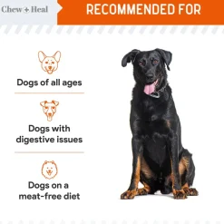 Chew + Heal Pumpkin & Prebiotic Fiber Crunchy Biscuit Dog Treats
