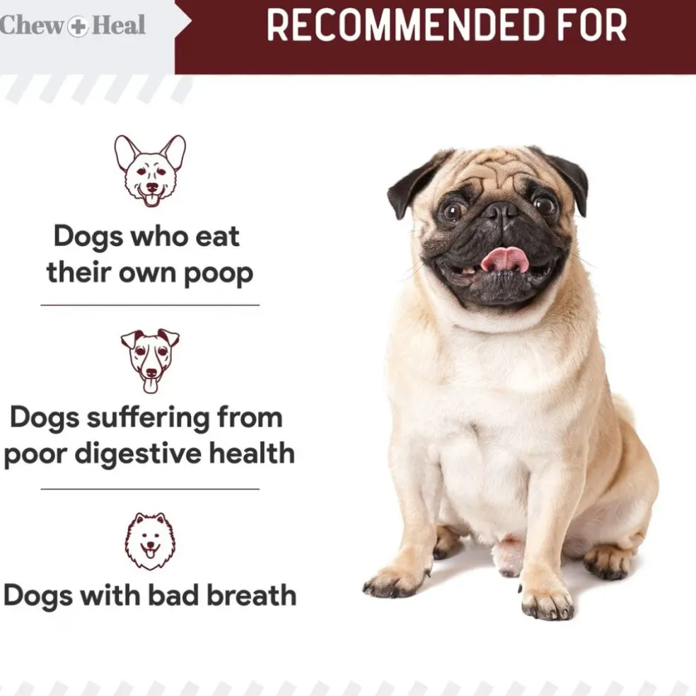 Chew + Heal Stop the Poo Chew Coprophagia Supplement for Dogs- Savory Lamb Flavor (120 Count)
