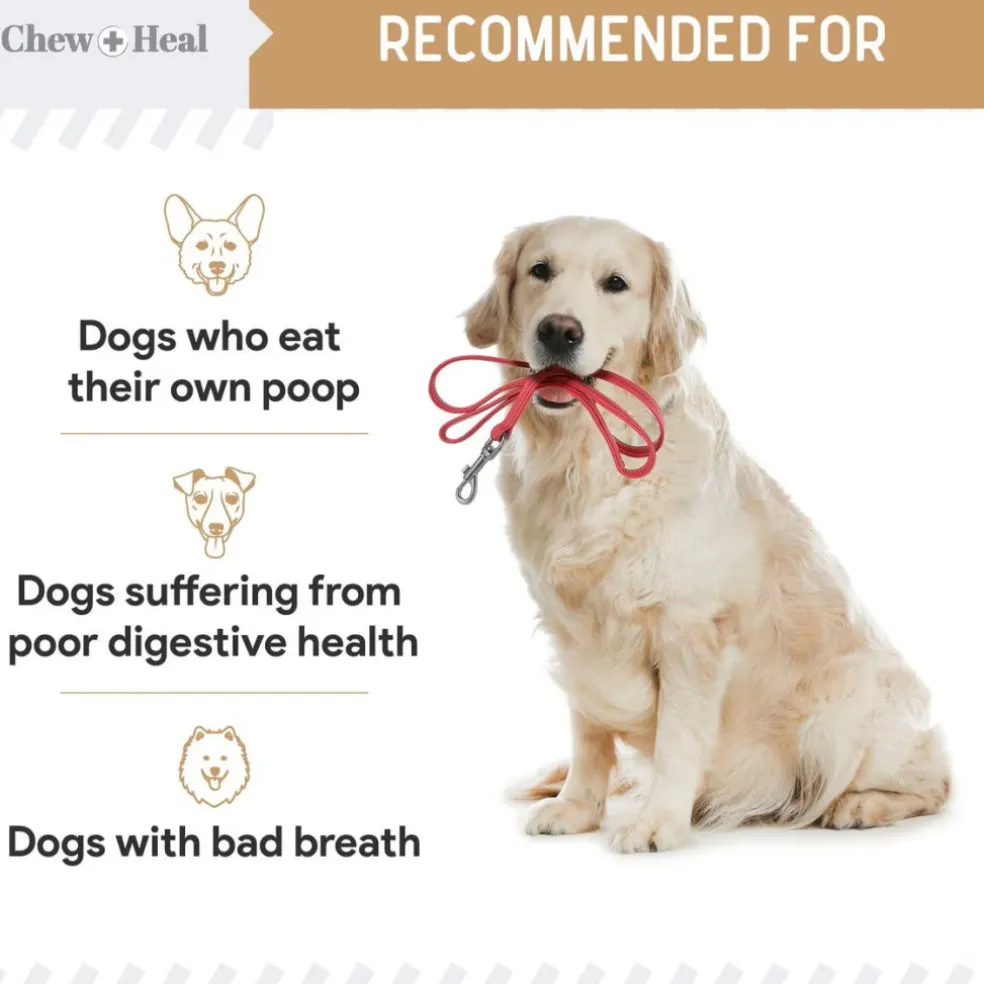 Chew + Heal Stop the Poo Chew Coprophagia Supplement for Dogs- Peanut Butter Flavor (120 Counts)