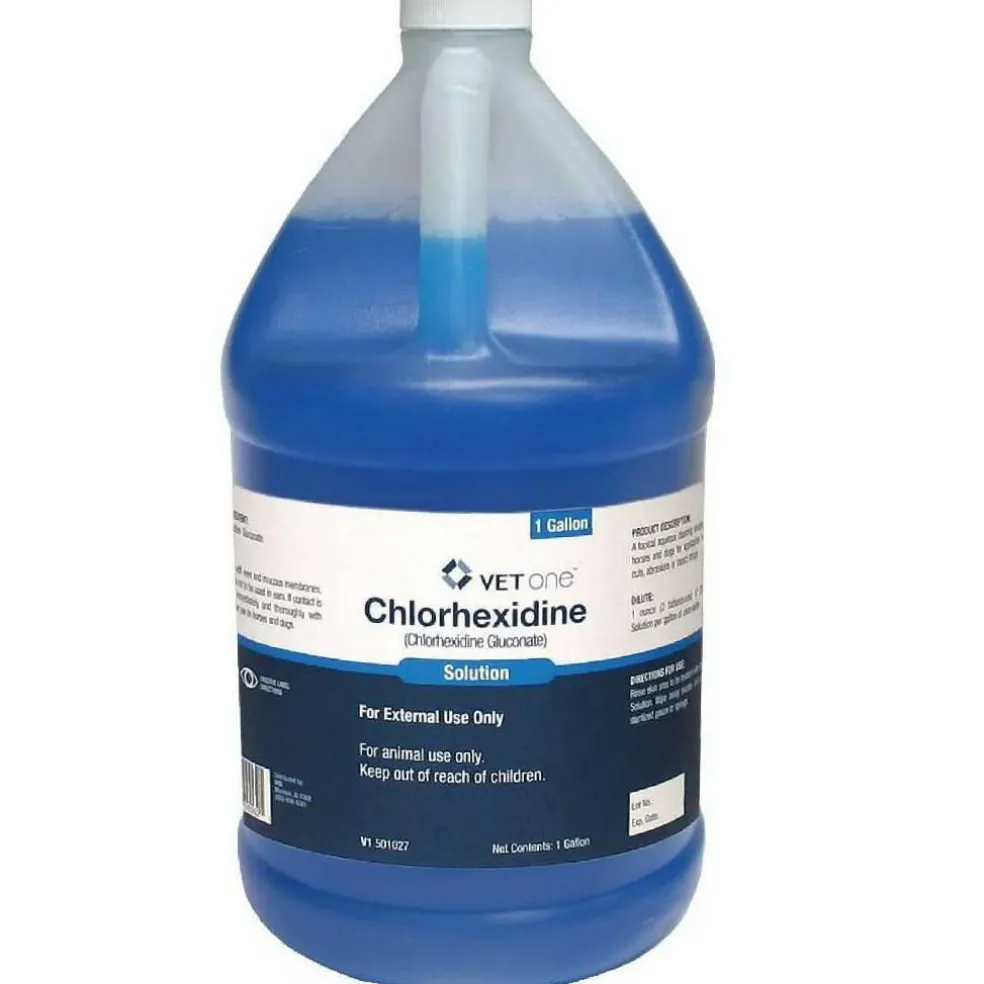 Chlorhexidine 2% Solution (gallon)