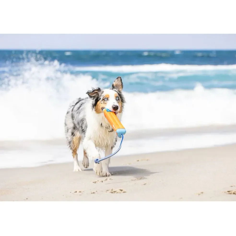 Chuckit! Amphibious Bumper Fetch & Float Dog Toy (Color Varies)