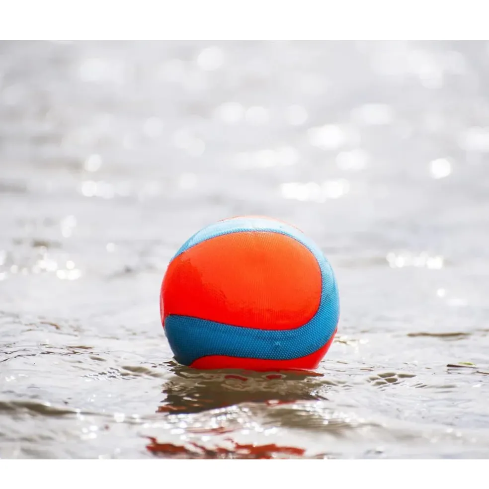 Chuckit! Amphibious Mega Ball Toy For Dogs