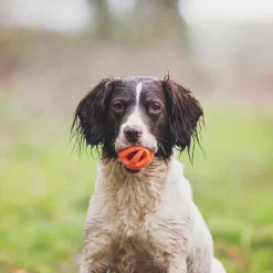 Chuckit! Breathe Air Fetch Ball Toy For Dogs