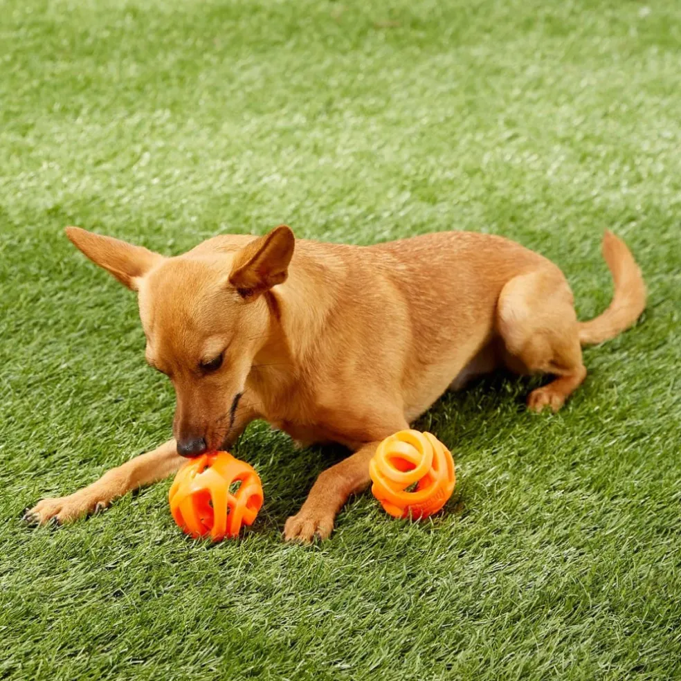 Chuckit! Breathe Air Fetch Ball Toy For Dogs