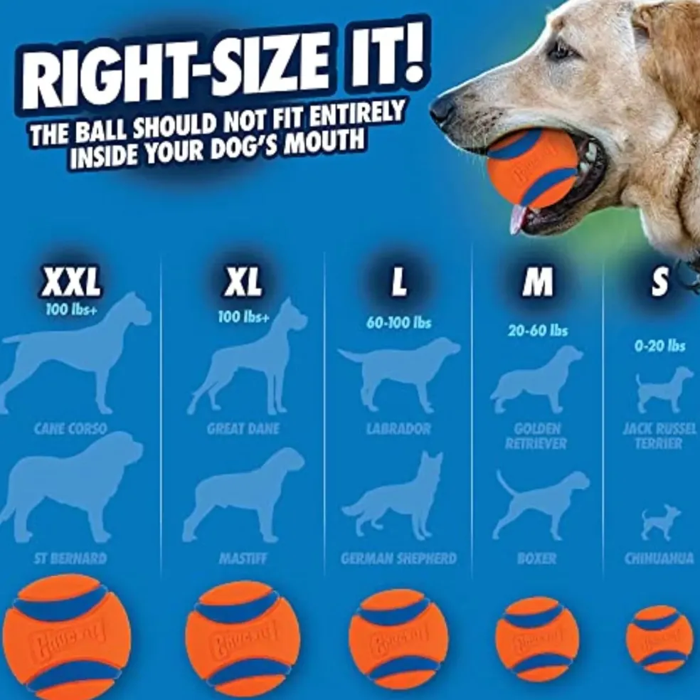 Chuckit! Bucket with 8 Medium Balls Toy For Dogs -Ultra