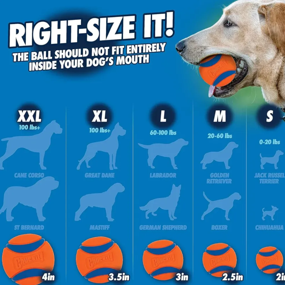 Chuckit! Classic Ball Launcher Toy For Dogs- 26M (color varies)