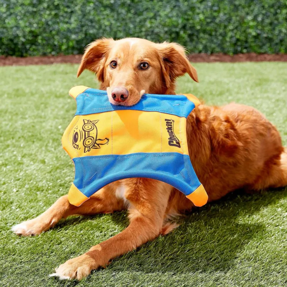 Chuckit! Flying Squirrel Toy for Dogs (color varies)