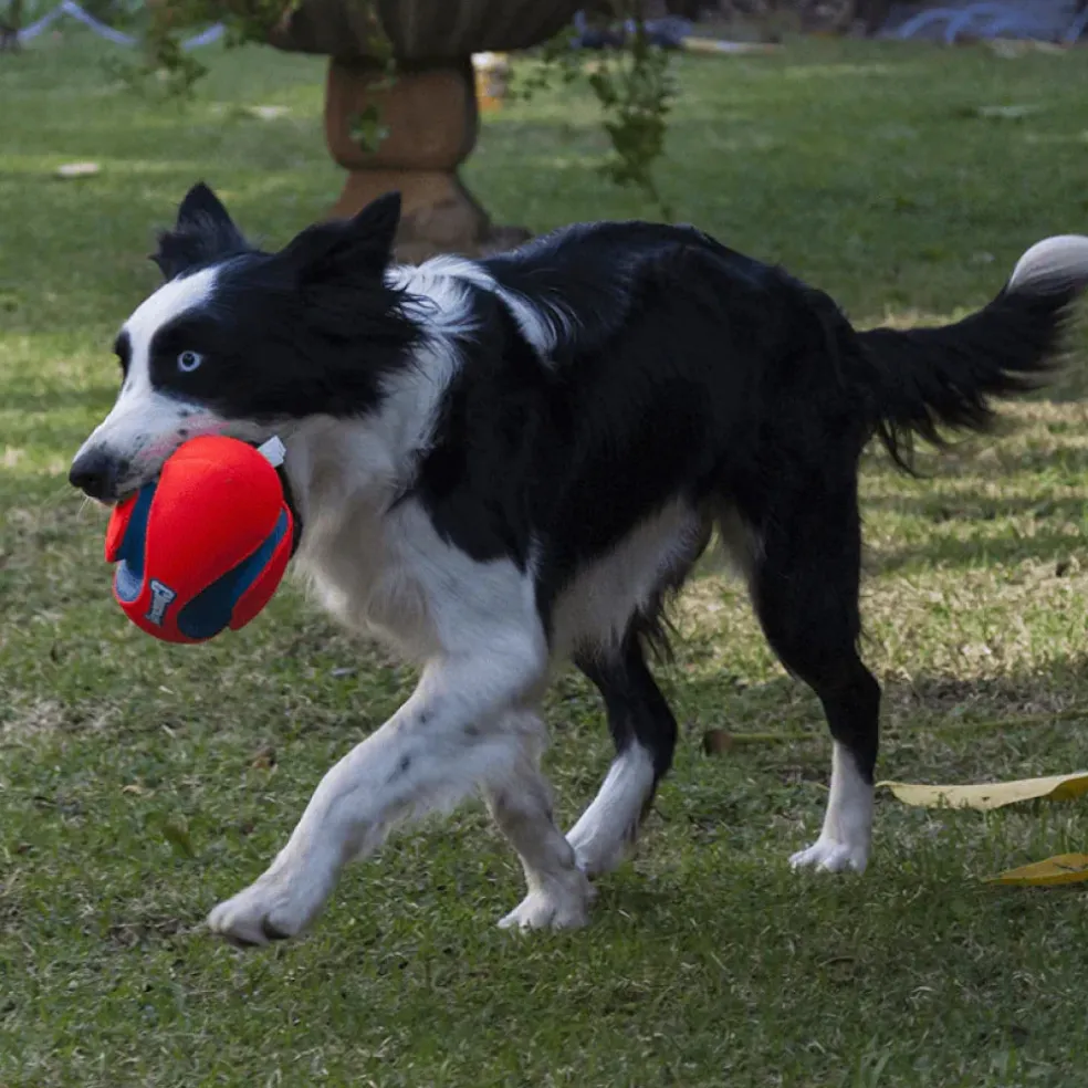 Chuckit! Fumble Fetch Toy For Dogs - Small
