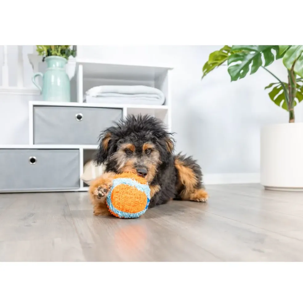 ChuckIt! Indoor Ball Toy For Dogs