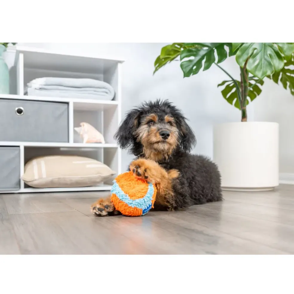 ChuckIt! Indoor Ball Toy For Dogs
