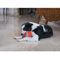 Chuckit! Indoor Fumbler Toy For Dogs