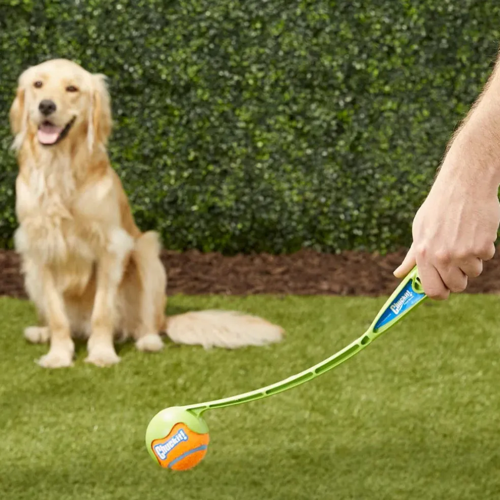 Chuckit! Junior Ball Launcher Toy For Dogs (color varies)