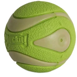 Chuckit! Max Glow Ultra Squeaker Ball Toy For Dogs - Medium