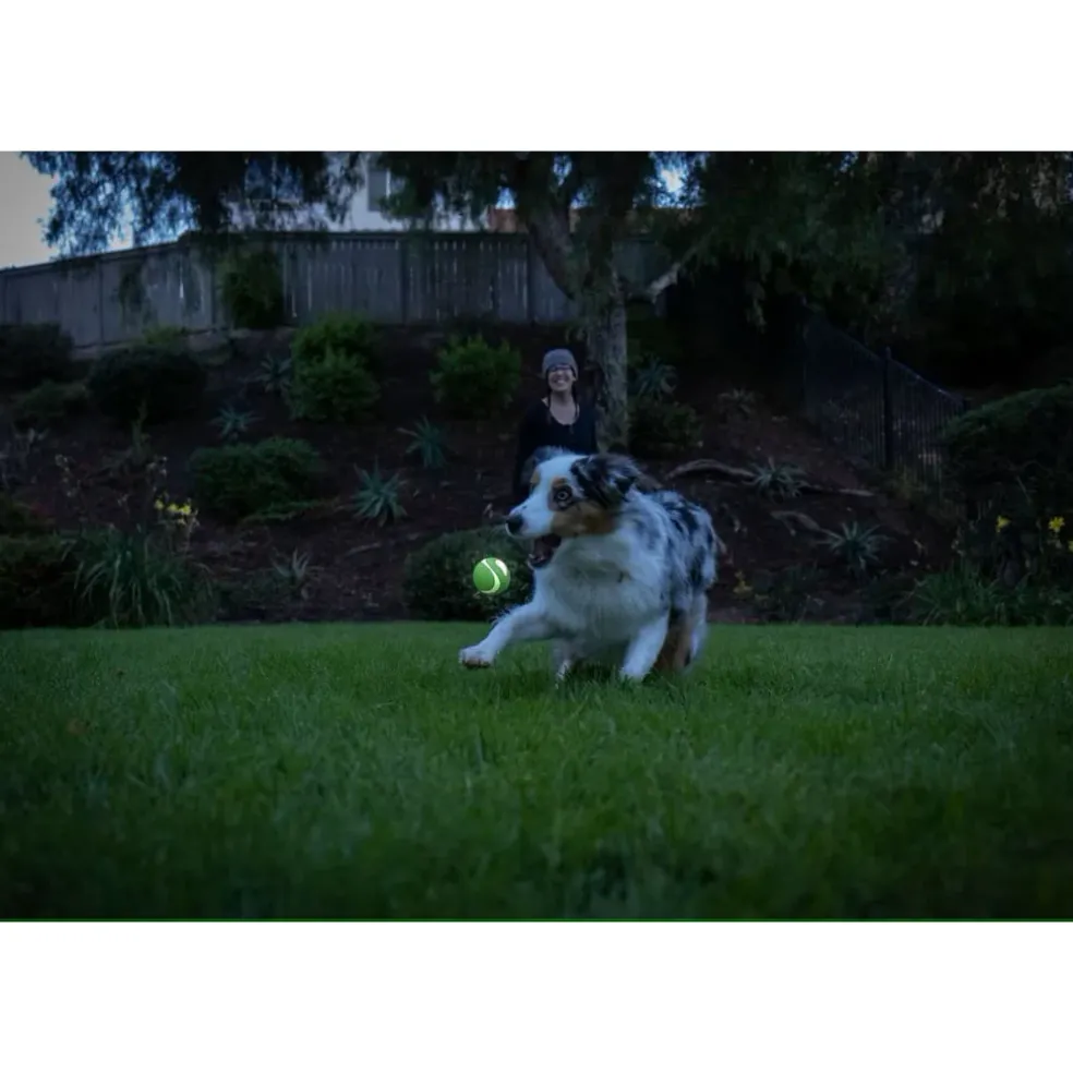 Chuckit! Max Glow Ultra Squeaker Ball Toy For Dogs - Medium