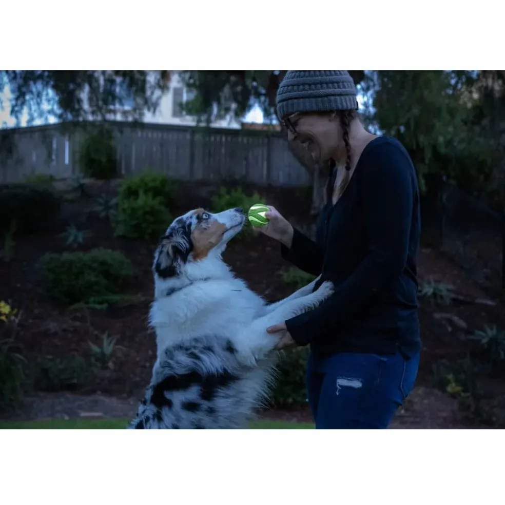 Chuckit! Max Glow Ultra Squeaker Ball Toy For Dogs - Medium