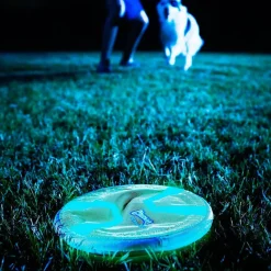 Chuckit! Paraflight Max Glow Toy For Dogs - Large